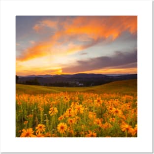 Beautiful landscap flowers and sunset Posters and Art